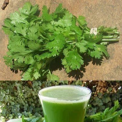 Chá ou suco de Salsa (limpe os rins)